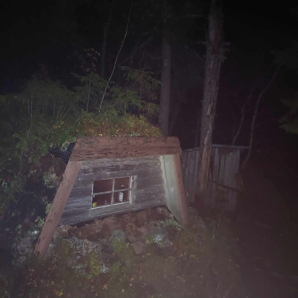 A small non-isolated and with plants overgrown wooden cabin in the middle of the forest in the dark.