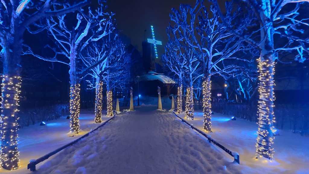 Leaveless snowy trees in blue light on the side of a wide trail. Skansen in Stockholm.